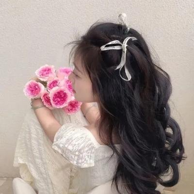 解放·终局营救 海报